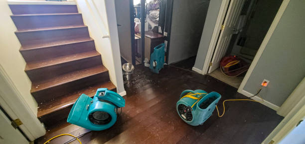 Best Water damage repair service  in Brook Park, OH