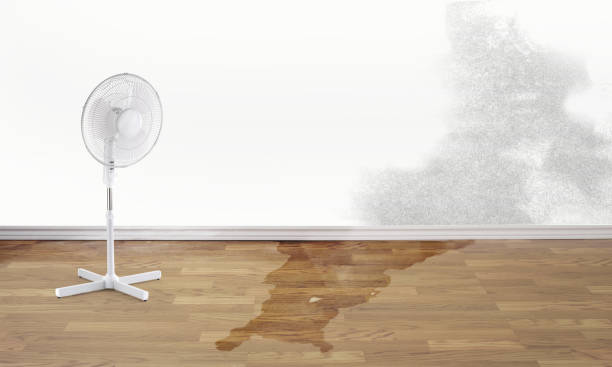 Best Water damage restoration cost  in Brook Park, OH