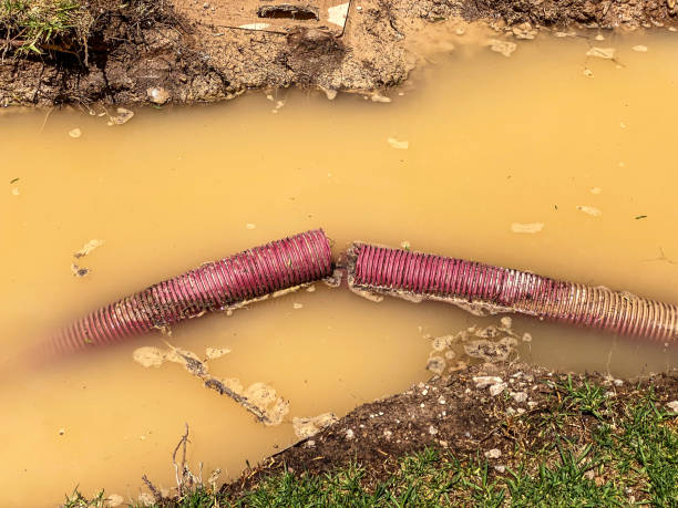 Carpet water damage restoration in Brook Park, OH